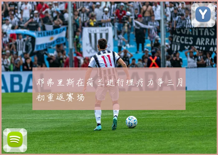 邓弗里斯在荷兰进行理疗力争三月初重返赛场